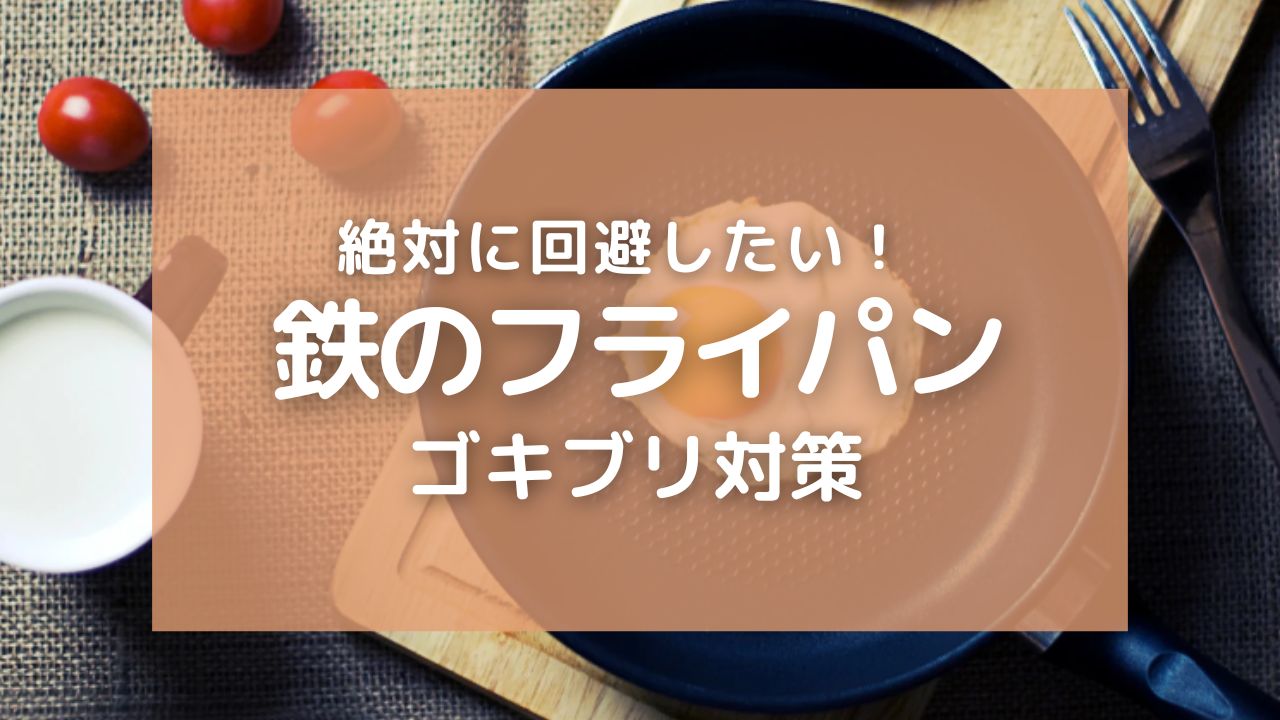 鉄のフライパンのゴキブリ対策とお手入れのポイント！特徴を理解して快適に使おう